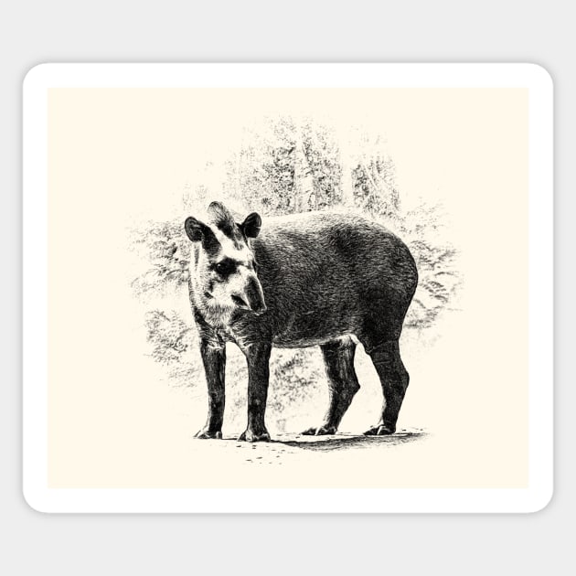 Tapir Sticker by Guardi